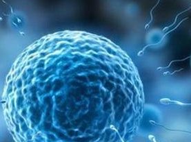 长沙地区有哪些私立的机构可以做试管技术？让备孕困难不再难!