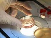 广州试管婴儿怎么做的过程要多久？