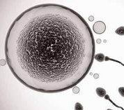 性功能大不如前，男人该反省反省这8个问题了 ​