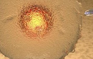 沈阳妇婴和盛京医院试管大pk，哪家费用更低更好看完知